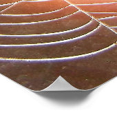 ナイトフォトアートのクモの巣 ポスター (角)