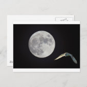 ナイトフクロウ ポストカード (正面/裏面)