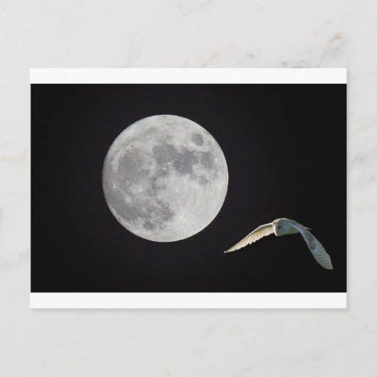 ナイトフクロウ ポストカード (正面)