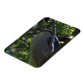 ナイトヘロン写真磁石 マグネット (左側)