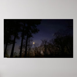 ナイトライト ポスター