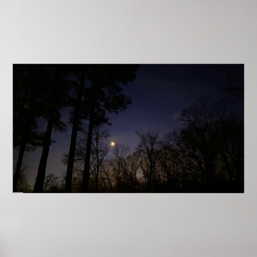 ナイトライト ポスター (正面)