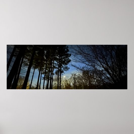 ナイトライト ポスター (正面)