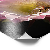 ナイト開花とビー フォトプリント            (角)