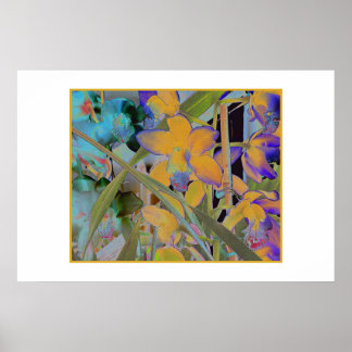 ナイト開花 ポスター