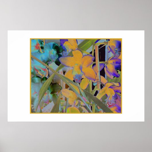 ナイト開花 ポスター (正面)