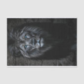 ナイト・キング 薄葉紙 (正面)