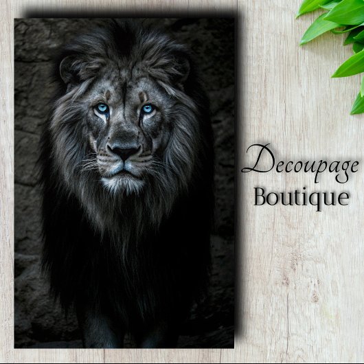 ナイト・キング 薄葉紙