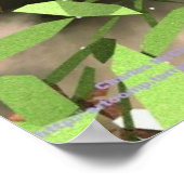 ナイト・フェアリー ポスター (角)