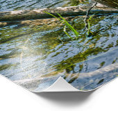 ナイト・ヘロンjv フォトプリント            (角)