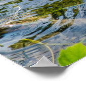 ナイト・ヘロンjv ポスター (角)