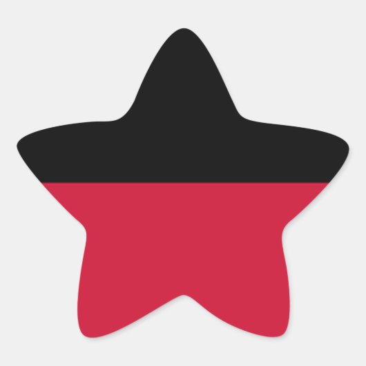 ナイメーヘン国旗 星シール (正面)