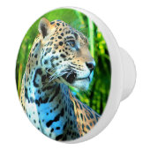 ナイラザジャガー セラミックノブ (右)