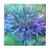 ナイルのユリ タイル (正面)