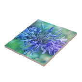 ナイルのユリ タイル (側面)