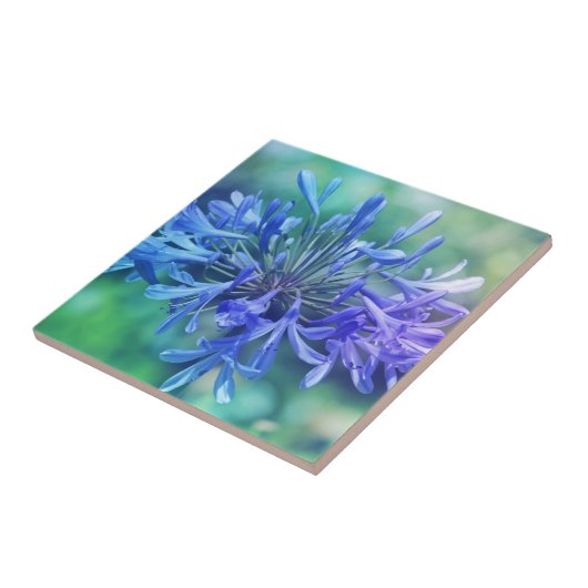 ナイルのユリ タイル (側面)