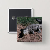 ナイルのワニ 缶バッジ (正面&裏面)