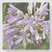 ナイルの石造りのコースターのユリ ストーンコースター (正面)