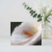 ナイルの葉書のリリー ポストカード (スタンド正面)