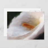 ナイルの葉書のリリー ポストカード (正面/裏面)