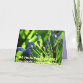 ナイルカードの嵐雲ユリ カード (裏面)