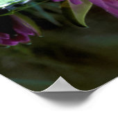 ナイルクロコダイル(Crocodylus Niloticus)ハッチリング ポスター (角)