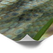 ナイルモニター ポスター (角)