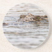 ナイルワニ コースター (正面)