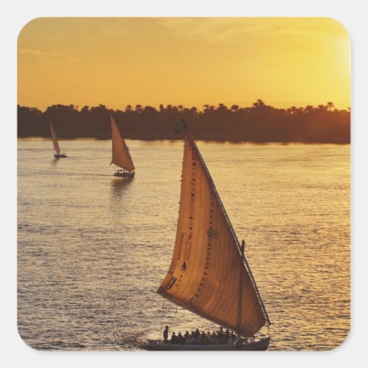 ナイル川で観光客と3羽のタカ スクエアシール (正面)