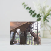 ナイロビのキリン荘 ポストカード (スタンド正面)