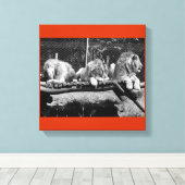 ナイロビライオンズ – B&W キャンバスプリント (インサイチュ (ウッドフロア))