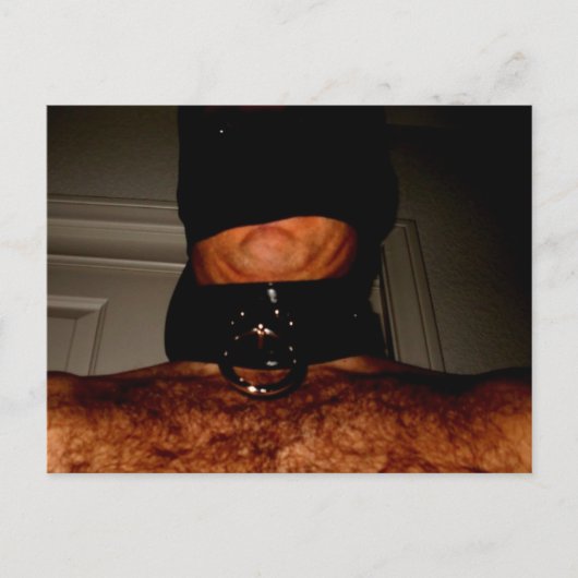 ナイロンとカラー2 ポストカード (正面)