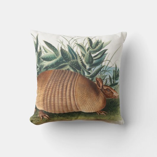 ナインバンドArmadillo (Dasypus Peba)イラストレーション クッション (正面)