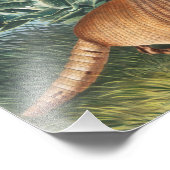 ナインバンドArmadillo (Dasypus Peba)イラストレーション フォトプリント (角)