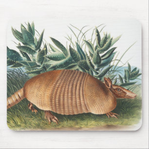 ナインバンドArmadillo (Dasypus Peba)イラストレーション マウスパッド