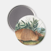 ナインバンドArmadillo (Dasypus Peba)イラストレーション マグネット (正面/裏面)