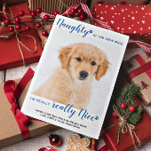 ナウグナイスブルーおもしろいバッファロープレイドペットの写真 シーズンポストカード