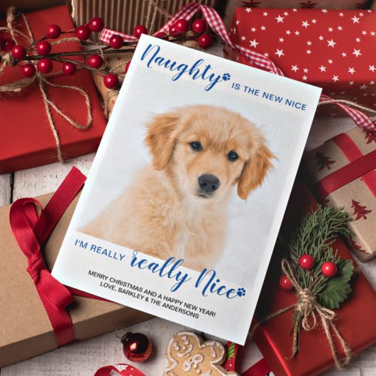 ナウグナイスブルーおもしろいバッファロープレイドペットの写真 シーズンポストカード