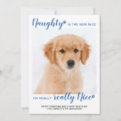 ナウグナイスブルーおもしろいバッファロープレイドペットフォトホール シーズンカード (正面)