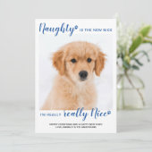 ナウグナイスブルーおもしろいバッファロープレイドペットフォトホール シーズンカード (スタンド正面)