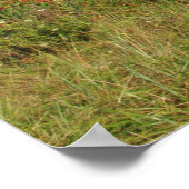 ナウセライトハウスビーチケープコッドナショナルシーショア ポスター (角)