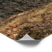 ナウセライトハウス ポスター (角)