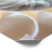 ナウチラスの内側 ポスター (角)