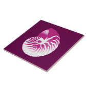 ナウチラスの殻 – ナス紫と白 タイル (側面)