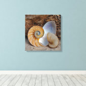 ナウチラスの貝殻2つ キャンバスプリント (インサイチュ (ウッドフロア))