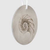 ナウチラスシェルスケッチ オーナメント (正面)