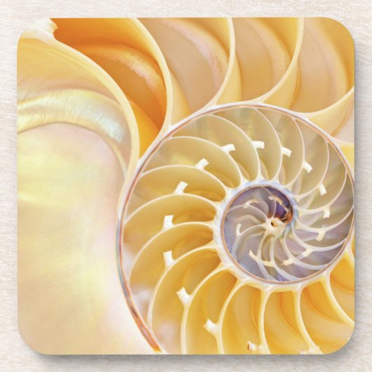 ナウチラス懸命プラスチックのコースター コースター (正面)