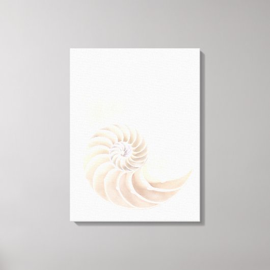 ナウチラス貝クローズアップ キャンバスプリント (正面)