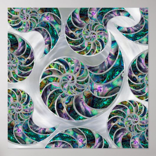 ナウティラス・シェル・アワビと真珠 ポスター (正面)