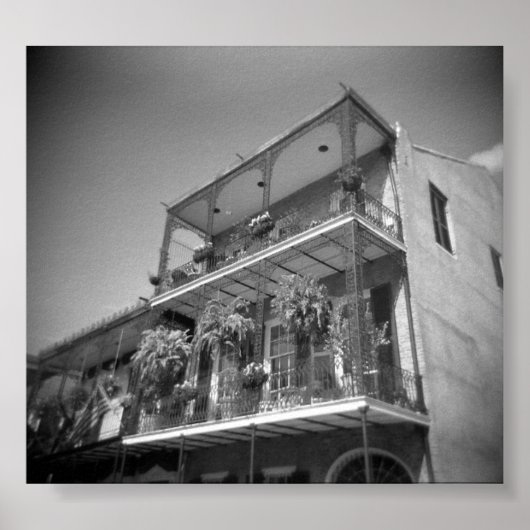 ナウリンズ ポスター (正面)